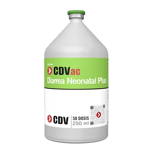 WEB-500x500-DiarreaNeonatal-1